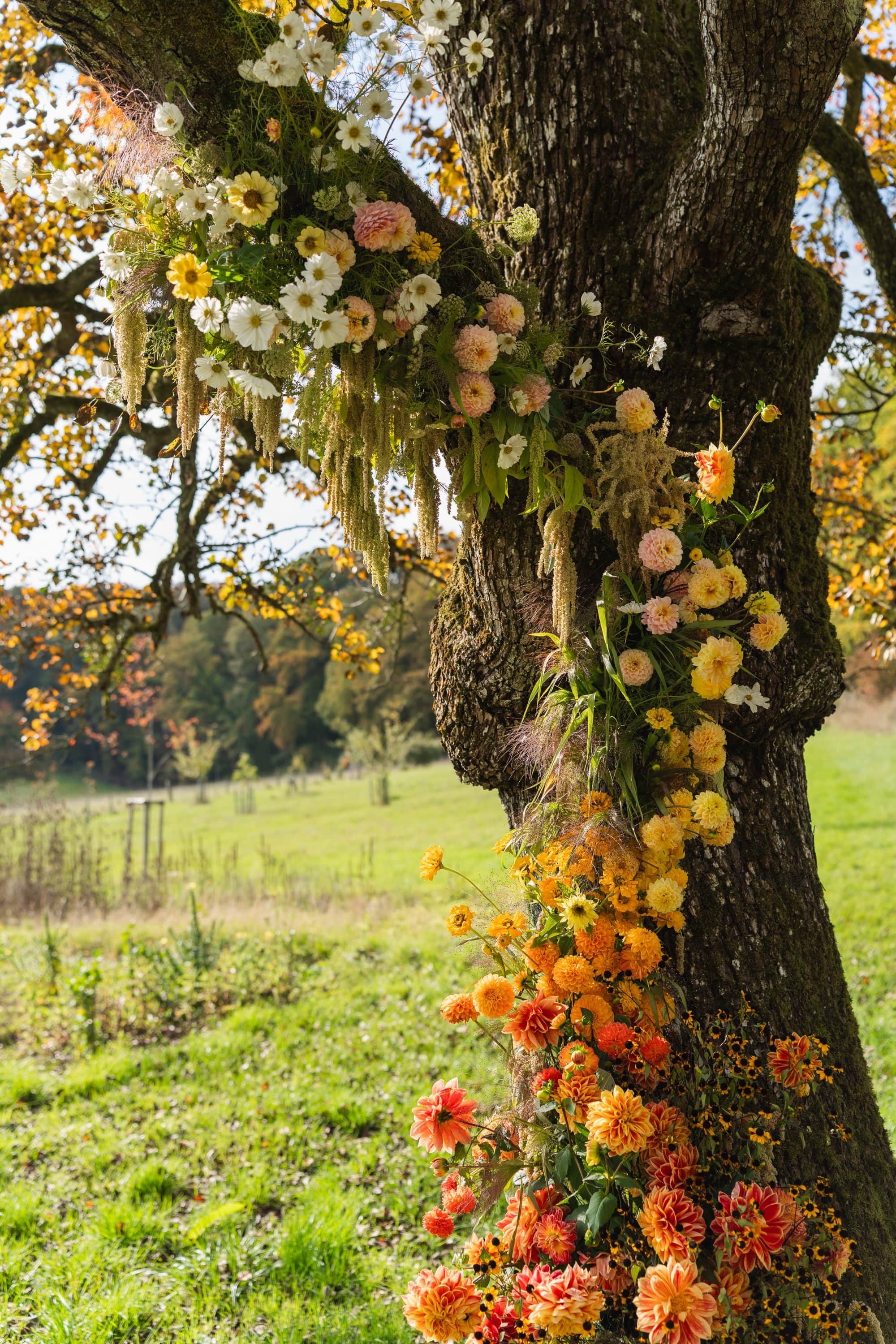 Blumeninstallation unter einem Baum
