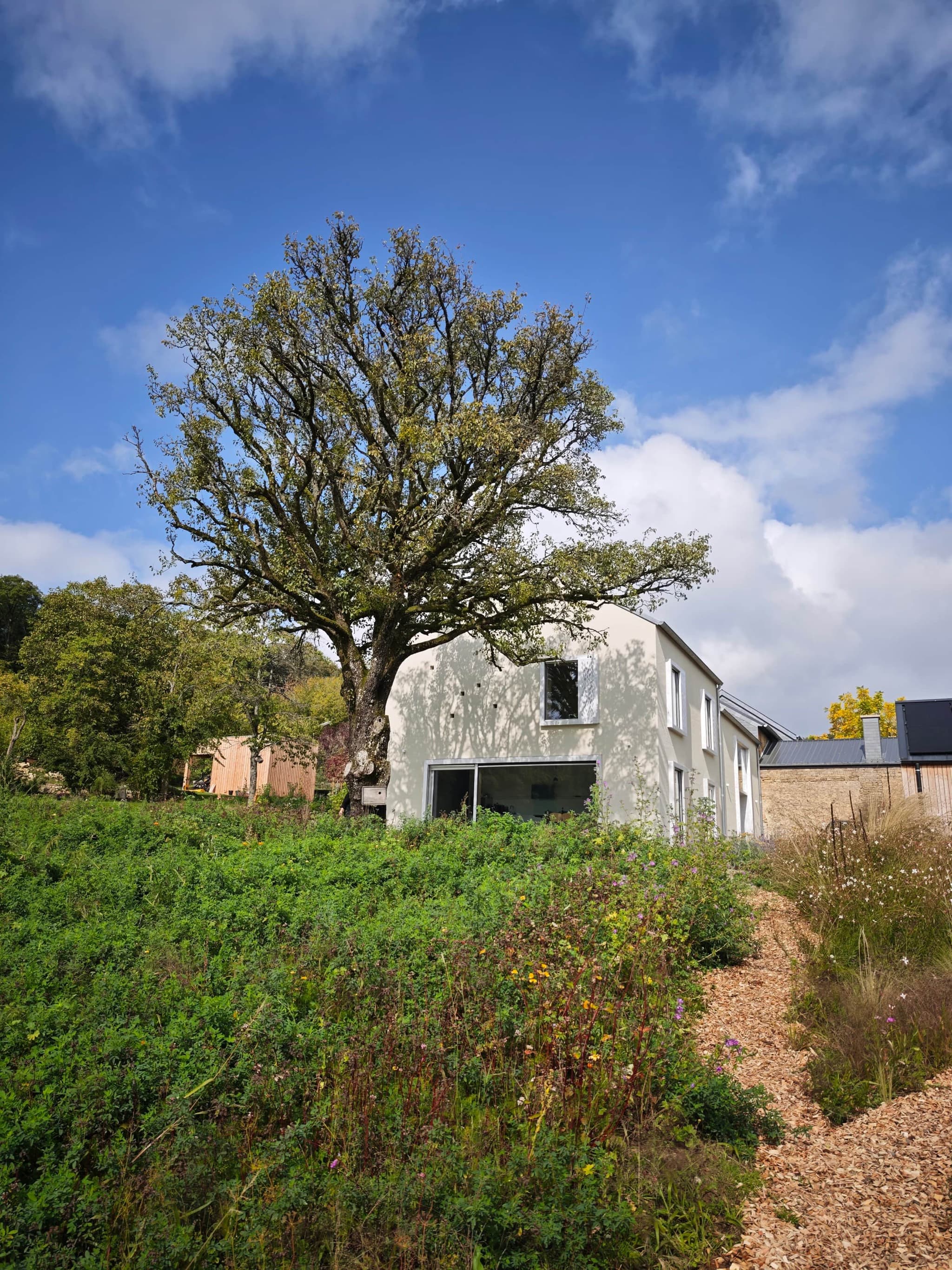 Kapenaker Blumenwiese und Garten
